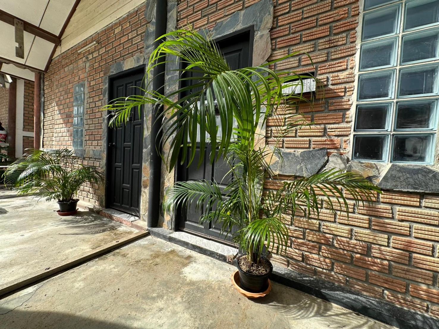 The Wave Haad Rin Hostel Bagian luar foto